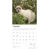 image Siamese Cats 2026 Wall Calendar Second Alternate Image