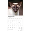 image Siamese Cats 2026 Wall Calendar Third Alternate Image