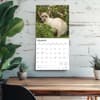 image Siamese Cats 2026 Wall Calendar Fourth Alternate Image