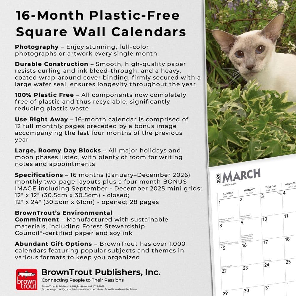 Siamese Cats 2026 Wall Calendar Fifth Alternate Image