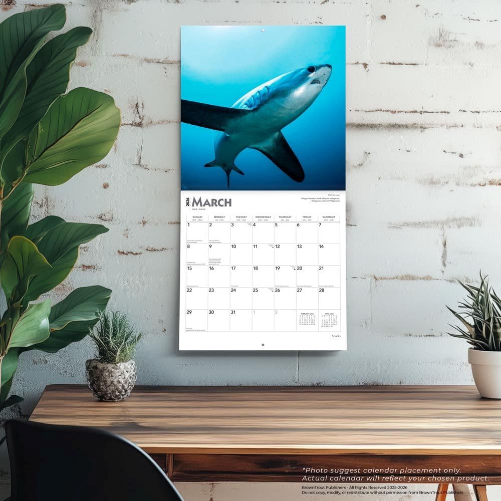 Sharks 2026 Wall Calendar Fourth Alternate Image