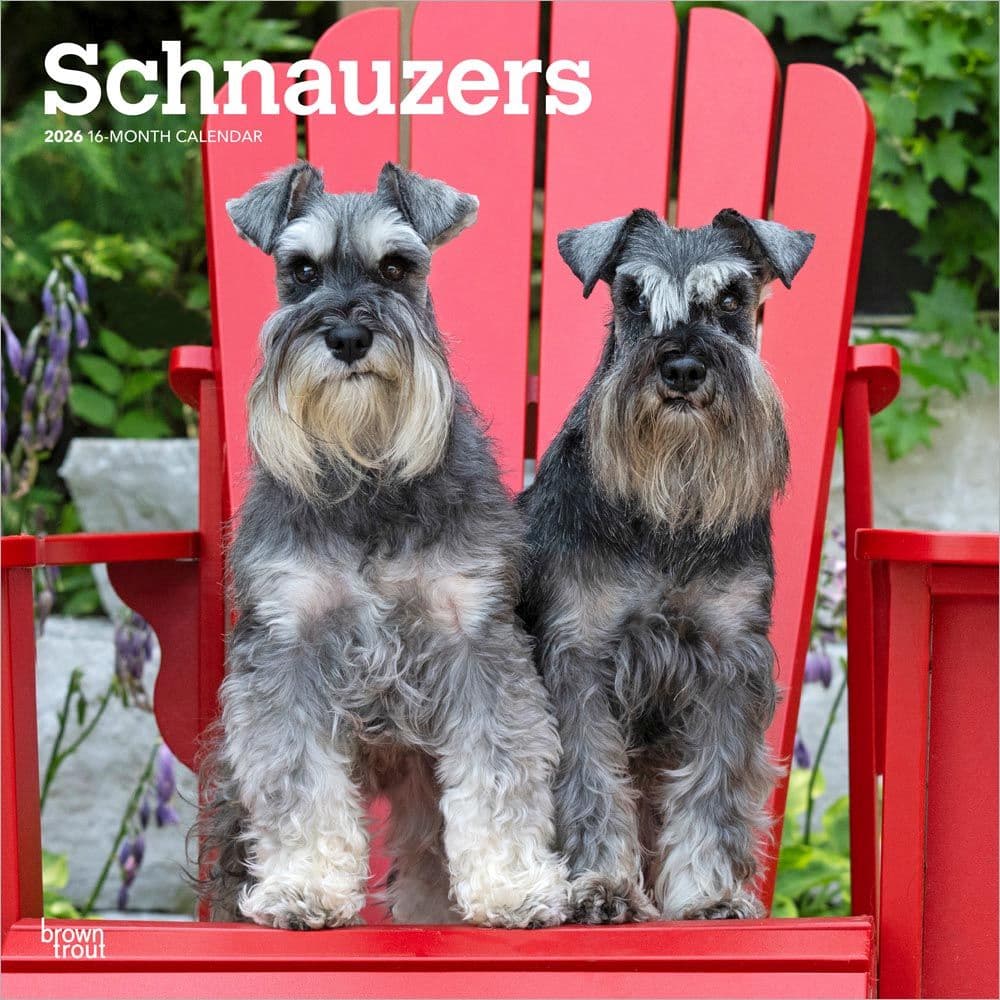 Schnauzers 2026 Wall Calendar Main Product Image