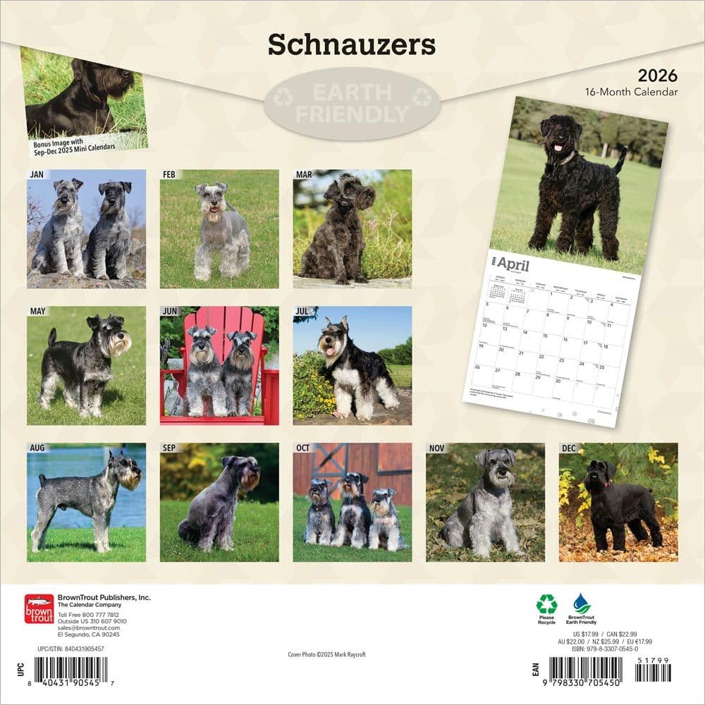 Schnauzers 2026 Wall Calendar First Alternate Image
