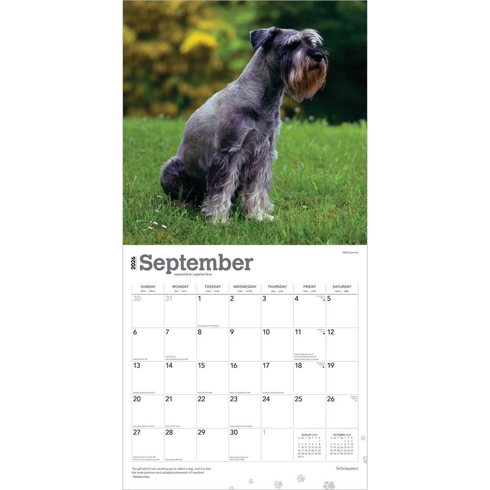 Schnauzers 2026 Wall Calendar Third Alternate Image