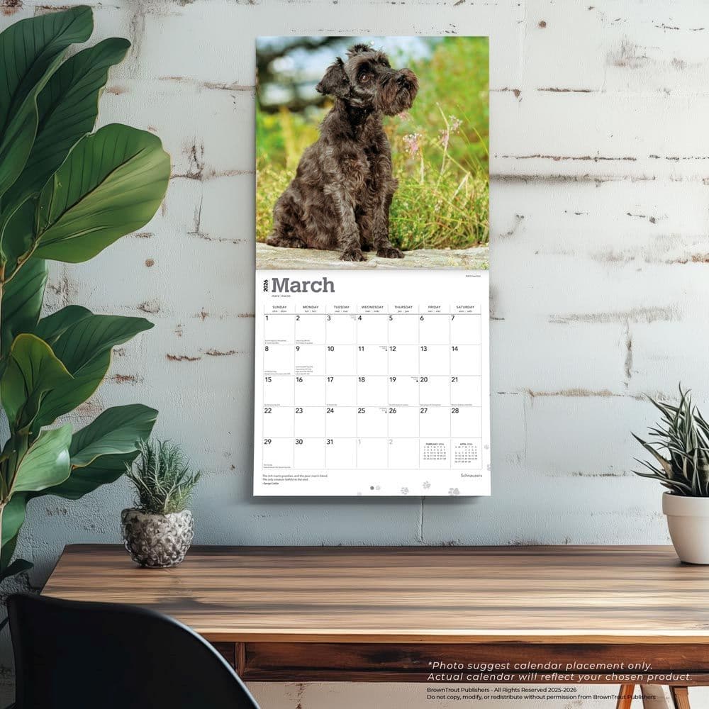 Schnauzers 2026 Wall Calendar Fourth Alternate Image