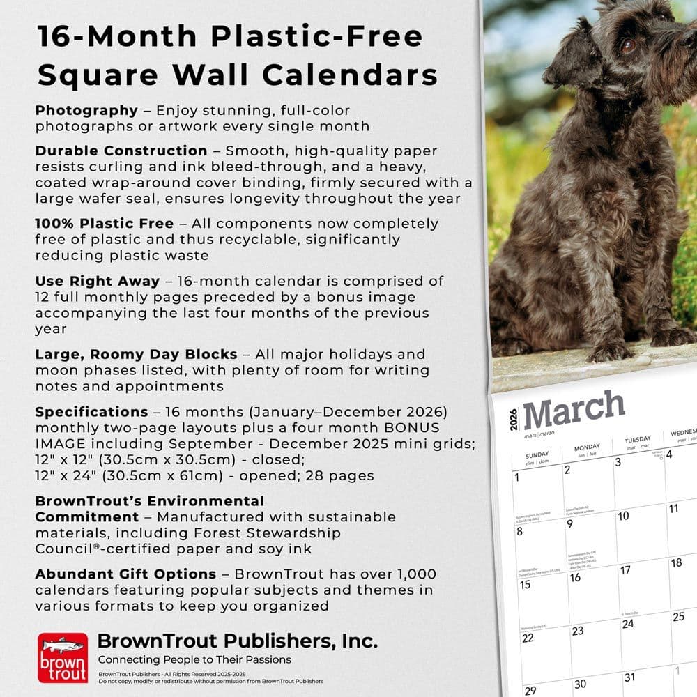 Schnauzers 2026 Wall Calendar Fifth Alternate Image
