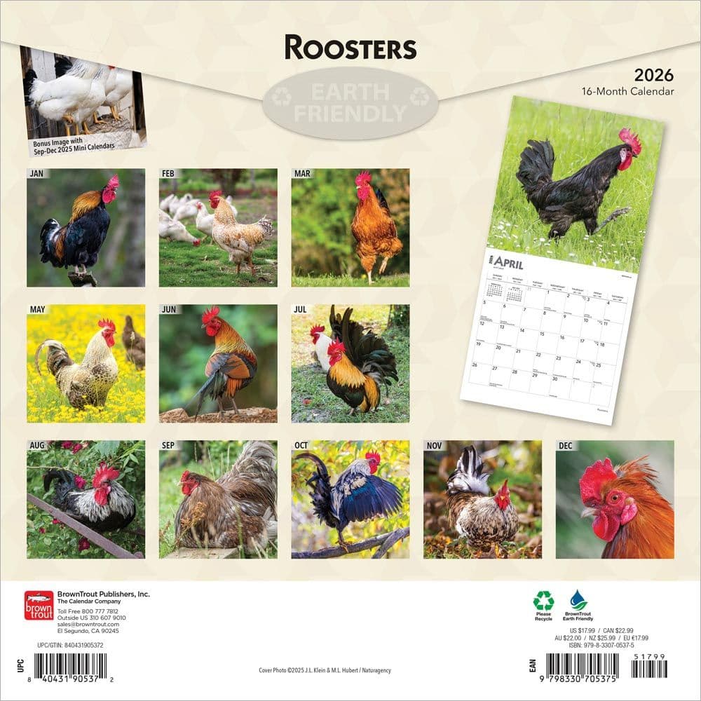 Roosters 2026 Wall Calendar First Alternate Image
