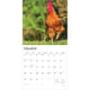 image Roosters 2026 Wall Calendar Second Alternate Image