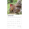 image Roosters 2026 Wall Calendar Third Alternate Image