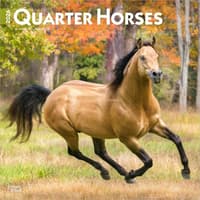 image Horses Quarter 2026 Wall Calendar Main Product Image