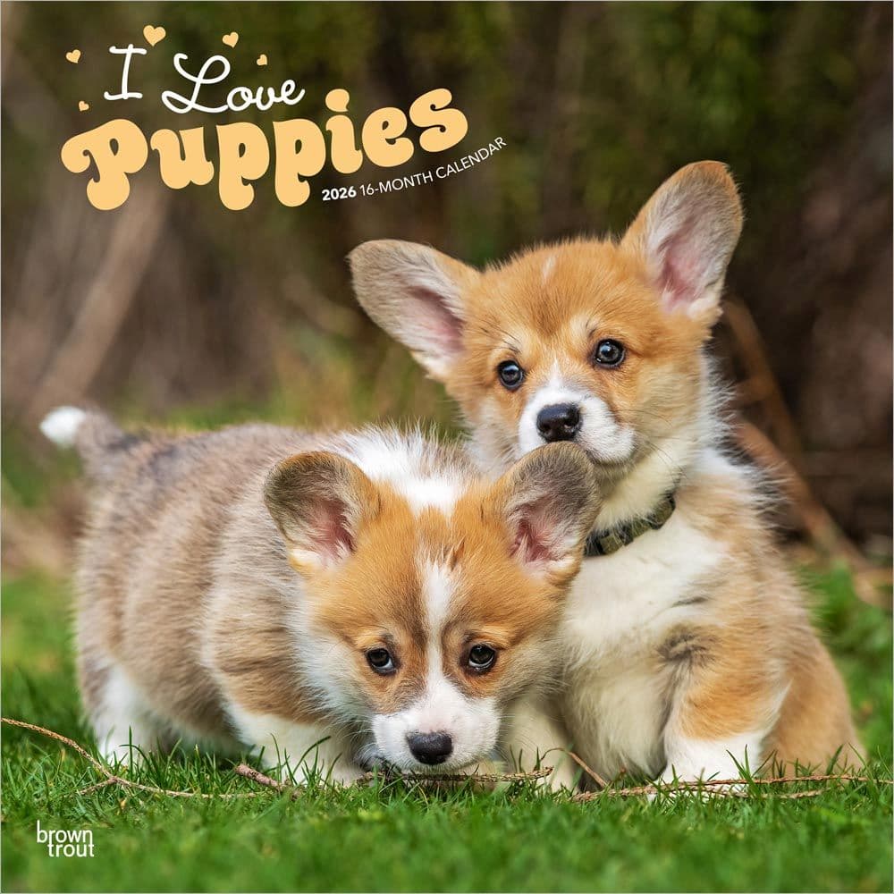 Puppies 2026 Wall Calendar Main Product Image