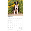 image Puppies 2026 Wall Calendar Second Alternate Image