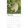image Puppies 2026 Wall Calendar Third Alternate Image