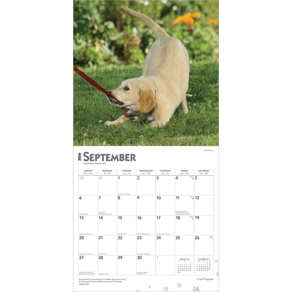 Puppies 2026 Wall Calendar Third Alternate Image