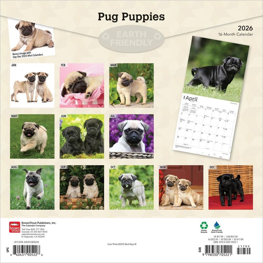 Pug Puppies 2026 Wall Calendar First Alternate Image