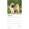 image Pug Puppies 2026 Wall Calendar Second Alternate Image