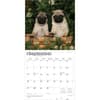 image Pug Puppies 2026 Wall Calendar Third Alternate Image