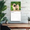 image Pug Puppies 2026 Wall Calendar Fourth Alternate Image