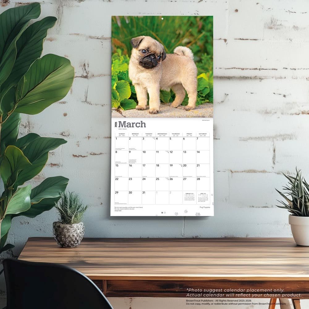 Pug Puppies 2026 Wall Calendar Fourth Alternate Image