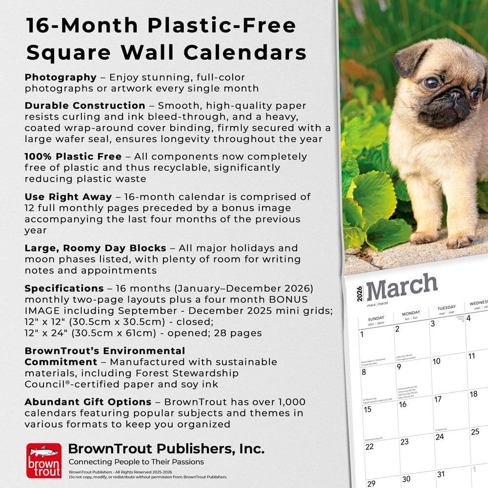 Pug Puppies 2026 Wall Calendar Fifth Alternate Image