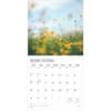 image Psalms Plato 2026 Wall Calendar Second Alternate Image