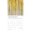 image Psalms Plato 2026 Wall Calendar Third Alternate Image