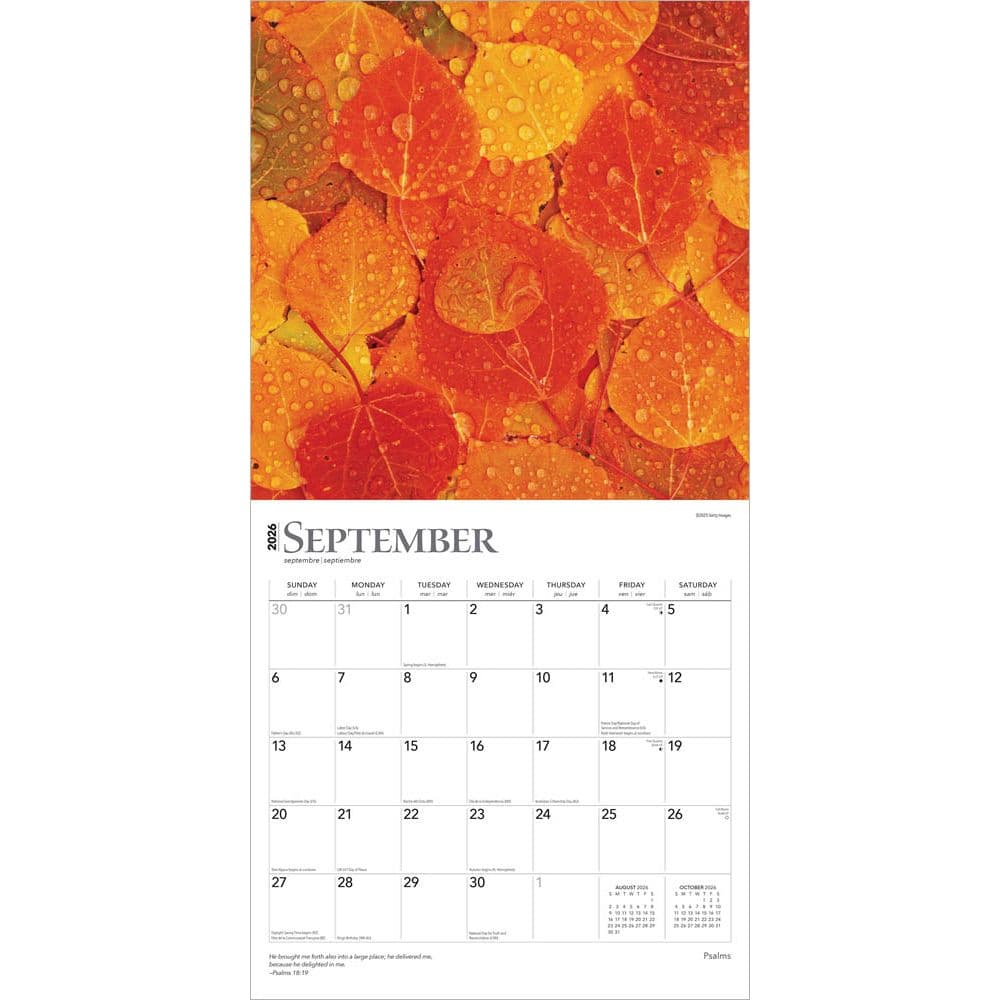 Psalms 2026 Wall Calendar Third Alternate Image