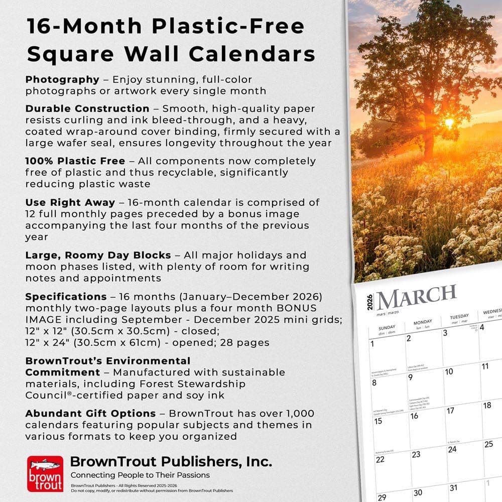 Psalms 2026 Wall Calendar Fifth Alternate Image