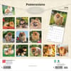 image Pomeranians 2026 Wall Calendar First Alternate Image