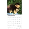image Pomeranians 2026 Wall Calendar Third Alternate Image