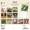 image Piglets 2026 Wall Calendar First Alternate Image
