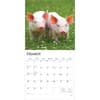 image Piglets 2026 Wall Calendar Second Alternate Image