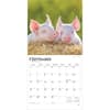 image Piglets 2026 Wall Calendar Third Alternate Image