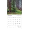 image Pennsylvania Wild and Scenic 2026 Wall Calendar Second Alternate Image