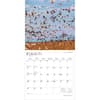 image Nebraska Wild and Scenic 2026 Wall Calendar Second Alternate Image