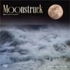 image Moons 2026 Wall Calendar Main Product Image