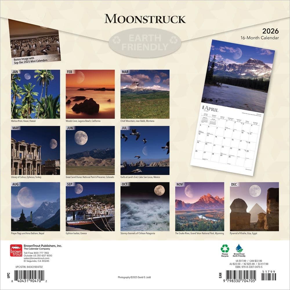 Moons 2026 Wall Calendar First Alternate Image