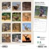 image Monster Bucks Plato 2026 Wall Calendar First Alternate Image