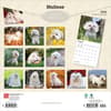 image Maltese 2026 Wall Calendar First Alternate Image