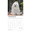 image Maltese 2026 Wall Calendar Third Alternate Image