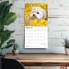 image Maltese 2026 Wall Calendar Fourth Alternate Image
