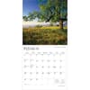 image Worlds Greatest Trees 2026 Wall Calendar Second Alternate Image