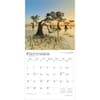 image Worlds Greatest Trees 2026 Wall Calendar Third Alternate Image