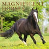 image Magnificent Horses Plato 2026 Wall Calendar Main Product Image