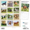 image Magnificent Horses Plato 2026 Wall Calendar First Alternate Image