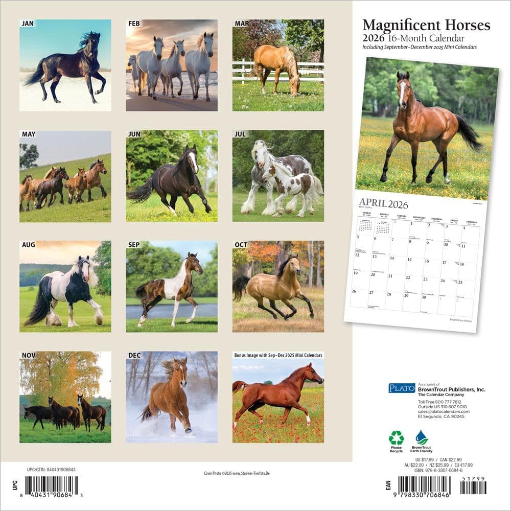 Magnificent Horses Plato 2026 Wall Calendar First Alternate Image