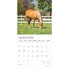 image Magnificent Horses Plato 2026 Wall Calendar Second Alternate Image