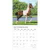 image Magnificent Horses Plato 2026 Wall Calendar Third Alternate Image