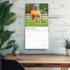 image Magnificent Horses Plato 2026 Wall Calendar Fourth Alternate Image