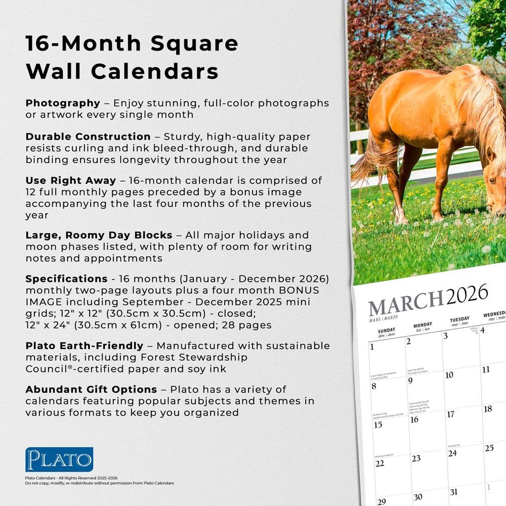 Magnificent Horses Plato 2026 Wall Calendar Fifth Alternate Image